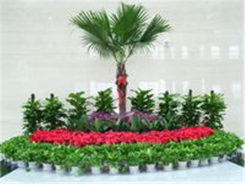廣州市南沙區(qū)橫瀝永恒花場綠化工程部 專業(yè)園林設(shè)計(jì)與施工一體化服務(wù)