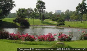 草坪與園林節(jié)點(diǎn) 綠化設(shè)計(jì)施工資料全解析